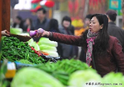 阳春三月 芜湖蔬菜价格继续下降