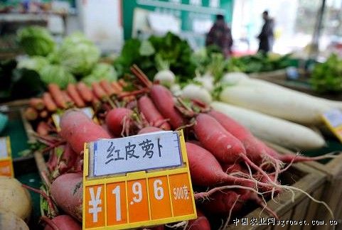 武威成甘肃省重要商品蔬菜生产供应基地