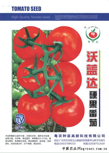美卡利亚西红柿贮藏方法