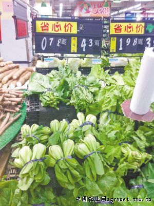 近几年花椰菜价格走势