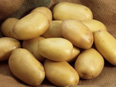 台农66红薯种植技术