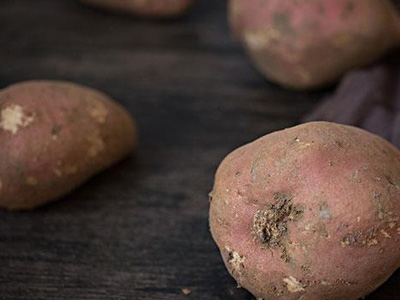 富硒红薯种植优点特点