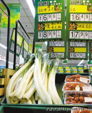 东北三省玉米价格