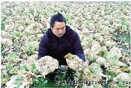 麻土豆新闻资讯
