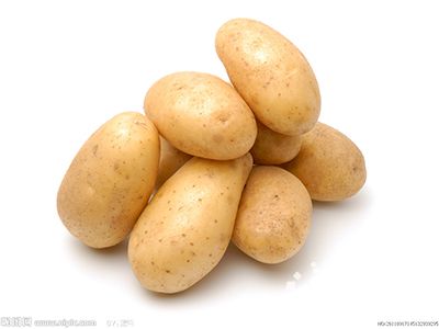 早大黄土豆种植技术