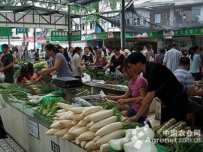 黄瓜市场