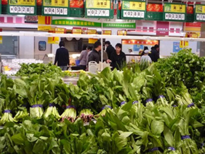 绿神菠菜市场价格