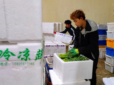 北京绿亨种子公司
