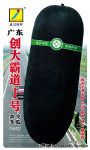 供应广东创大霸道I号F-717冬瓜种子