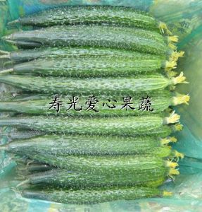 供应寿光箱装套菜、精装套菜——黄瓜